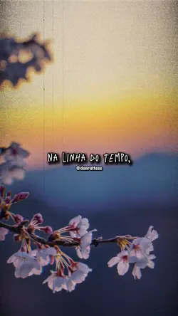 Tipografia 