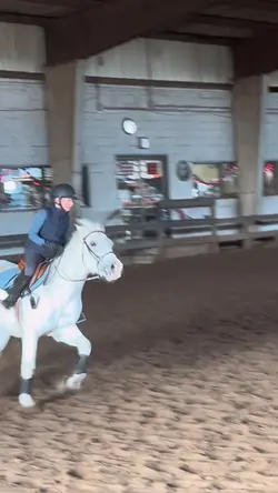 No stirrups!