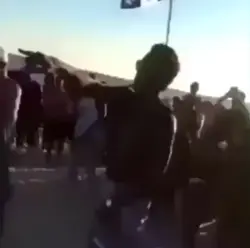Knockout