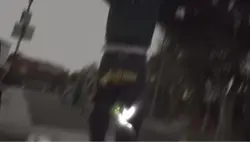 LL$🕊️