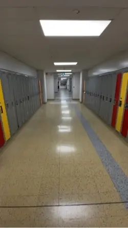 Nostalgia 