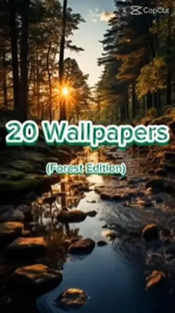 Forest wallpapers