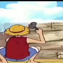 luffy being dumb