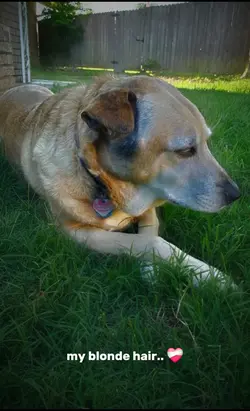 imy sweet angel