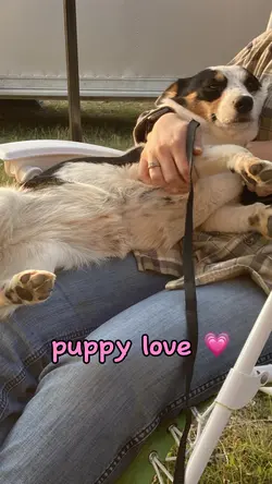 puppy love 💗💗