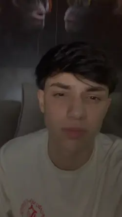 novo modelo 