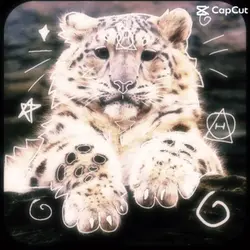 Snowleapord 