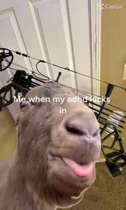 ADHD be like...