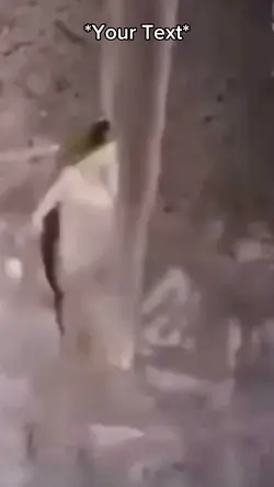Sexy Frog 