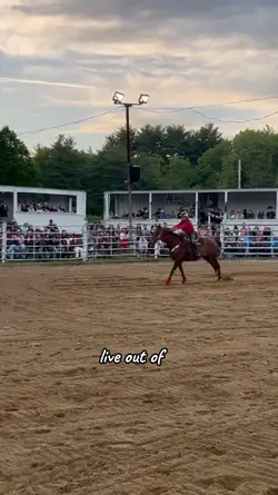 friends and horses 