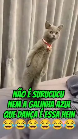Que Dança É Essa 