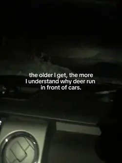 deer