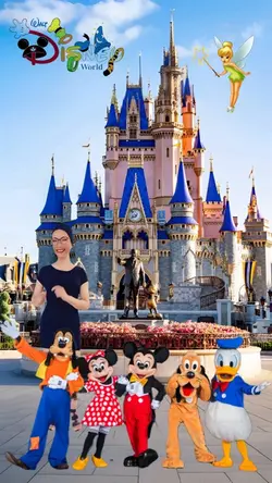Disney World Castle 