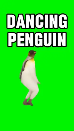 Dancing Penguin