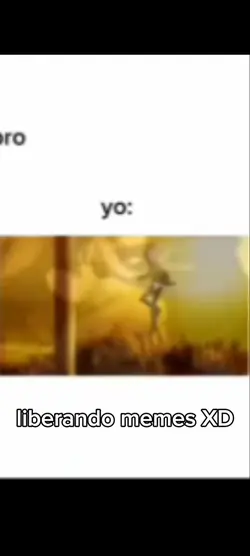liberando memes