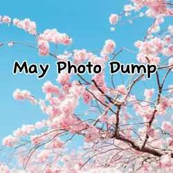 May dump 