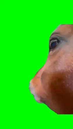 Mmmm Mmmm