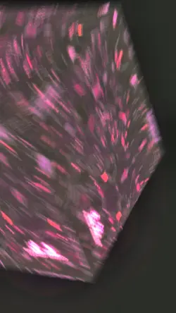 Black Hole 