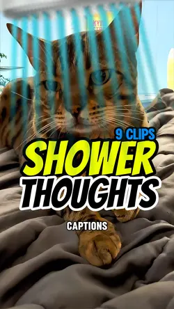 Shower thoughts 🚿😼😺🙀