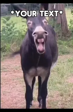 Donkey meme 