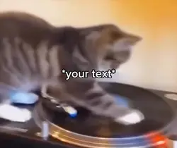 Spinning cat meme