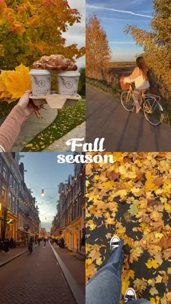 Fall season dump