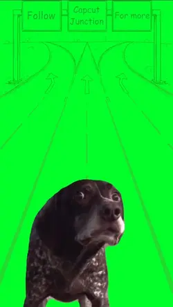 NERVOUS DOG