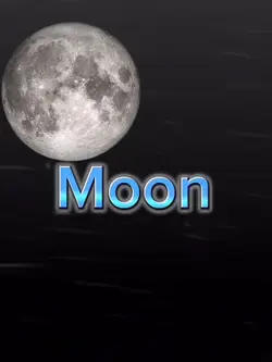 The moon