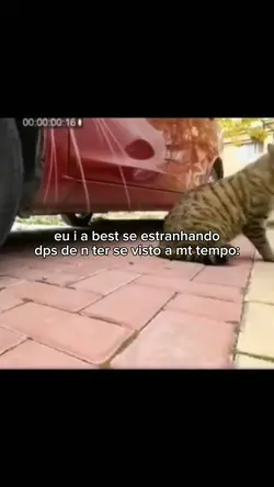 pra amzd continuar