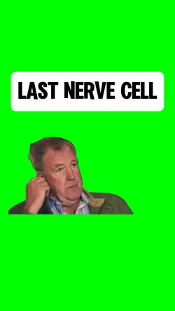 LAST NERVE CELL