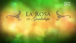entrada 