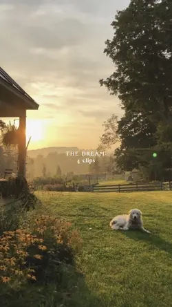 the dream…
