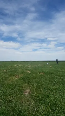 Video DUMP Golf
