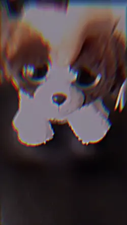 Uhoh 