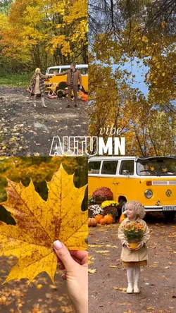 Autumn vibes