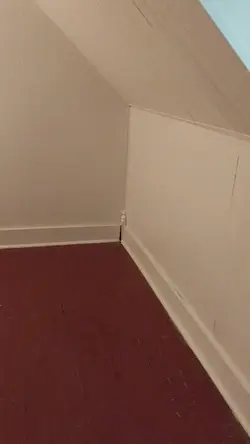 Painted Wood Floors 