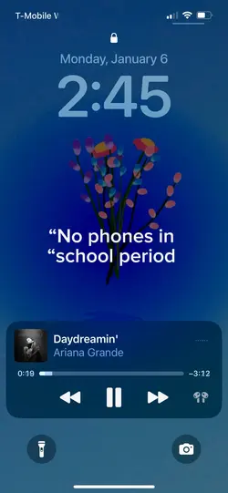 No phones n skool…