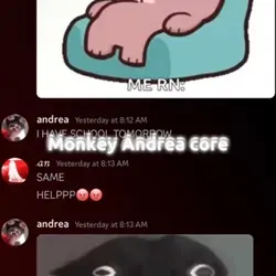 <333