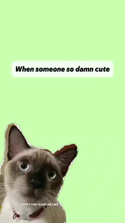 post cute videos 