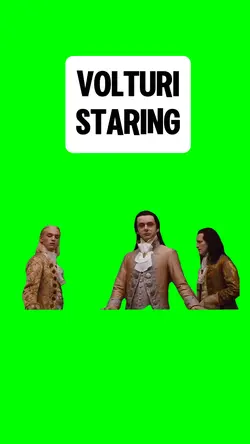 VOLTURI STARING