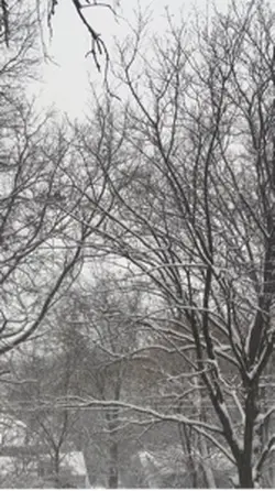 Snowy day