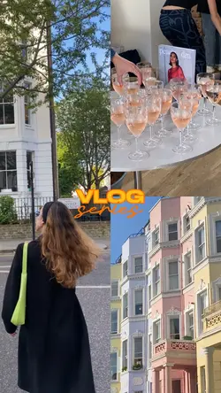 the vlog series