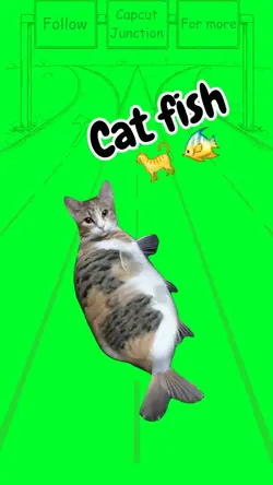 Cat fish