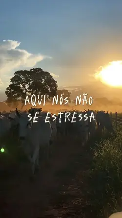 Roça 
