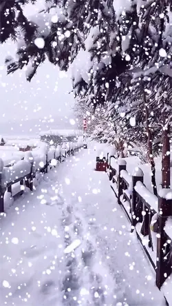 Snow scene