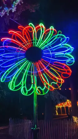 Juego de luces