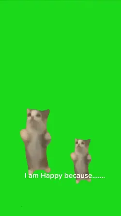 happy happy cat