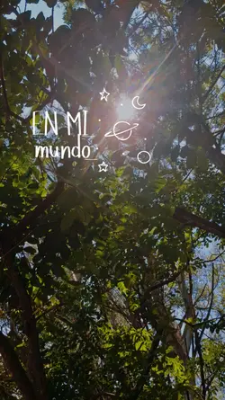 MI MUNDO