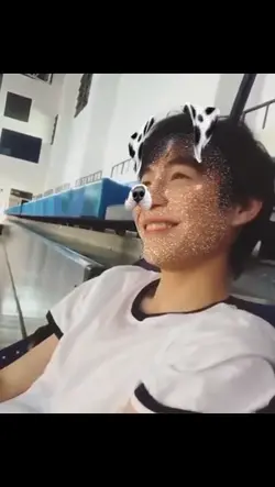 AI CACHORRO