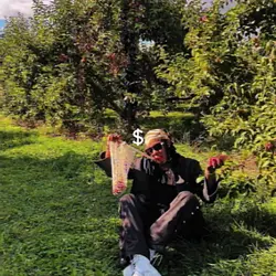 free Kodak